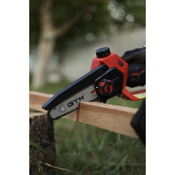 Секатор GTM GS18/30BL та мініпила GTM CS18/127BL з акумулятором 4 А&middot;год та зарядним пристроєм 3032BEO4 фото