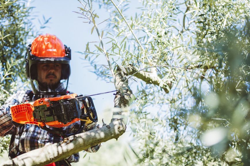 Пила ланцюгова бензинова ECHO CS-2511WES (82374) 82374 фото